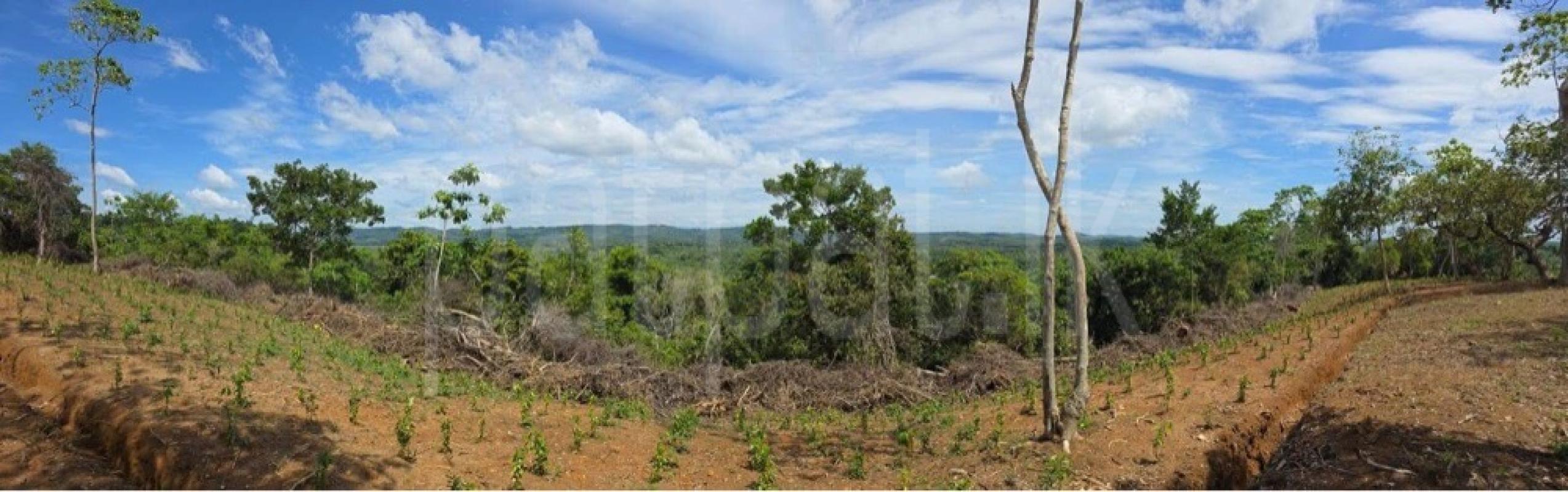 Commercial Land for Sale in Weligama ads-image-1