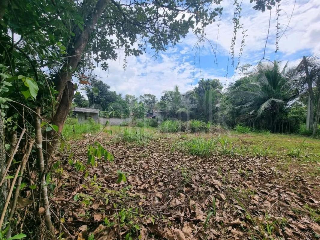 Residential Land for Sale in Piliyandala ads-image-1