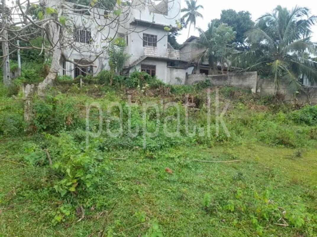 Advertisement image 1