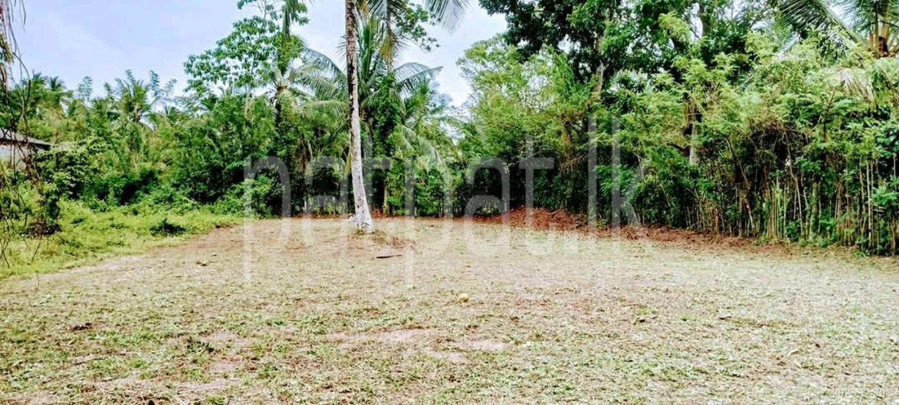 Commercial Land for Sale in Kaleliya