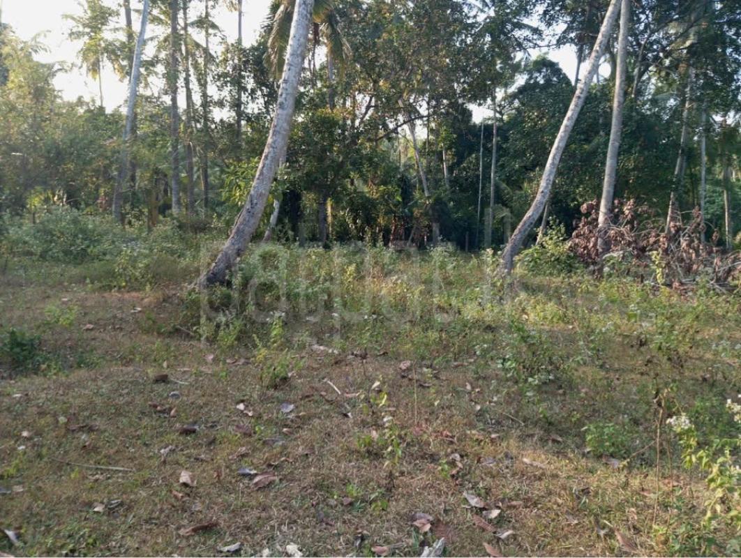 Agricultural Land for Sale in Badalgama ads-image-1