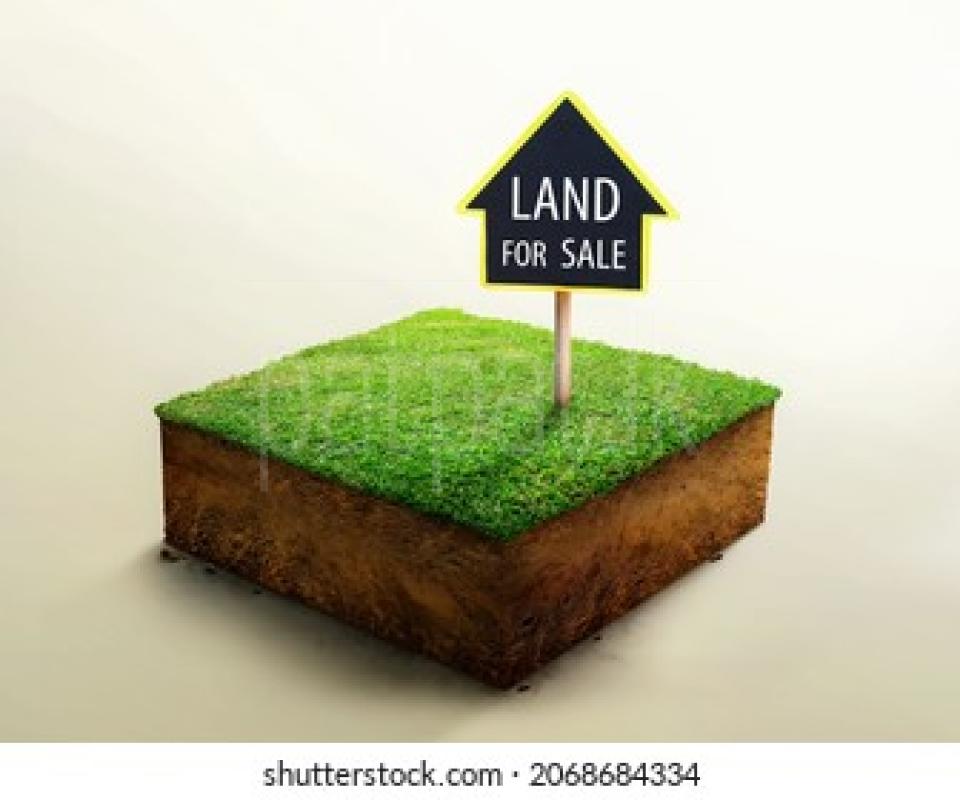 premium-listing-image