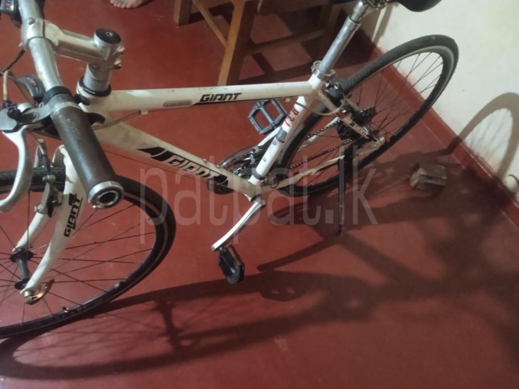 Advertisement image 3