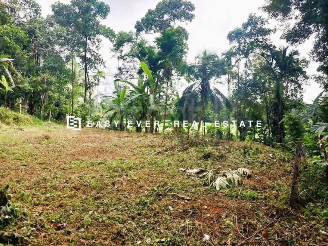 Residential Land for Sale in Nittambuwa