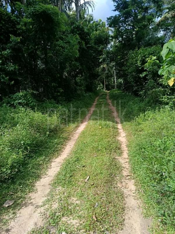 Commercial Land for Sale in Kandana