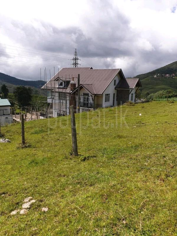 Agricultural Land for Sale in Nuwara Eliya ads-image-1