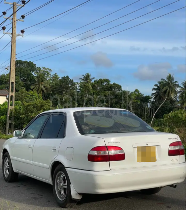 Toyota Corolla 1997 - Used Car sale in Sri Lanka - patpat.lk