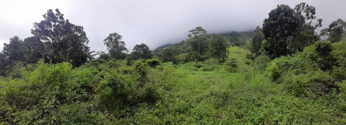 Commercial Land for Sale in Haputale