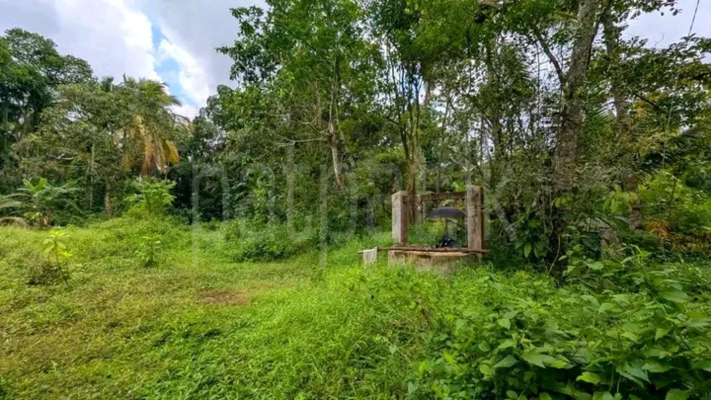 Commercial Land for Sale in Kadawatha