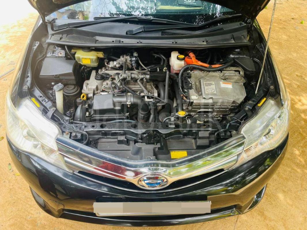 Advertisement image 5