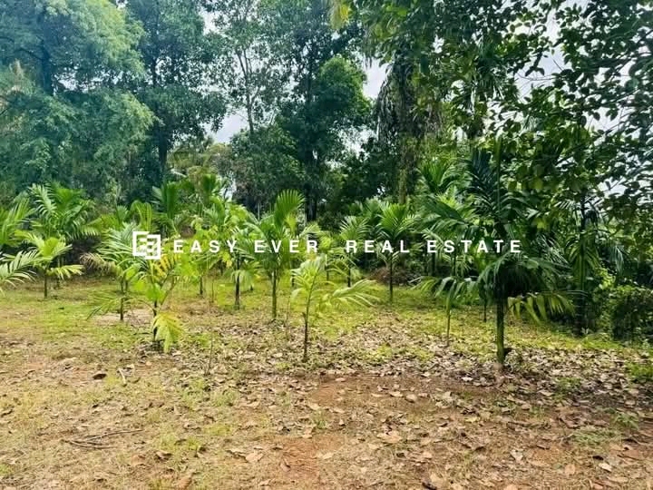 Commercial Land for Sale in Nittambuwa