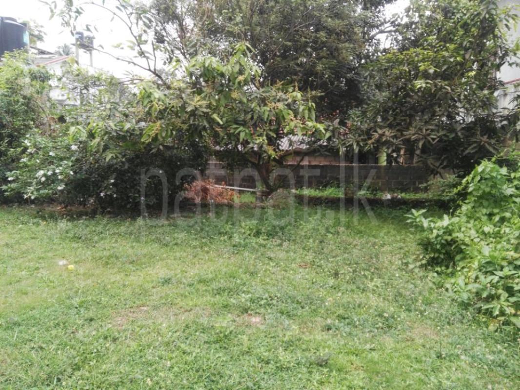 Residential Land for Sale in Wattala ads-image-1