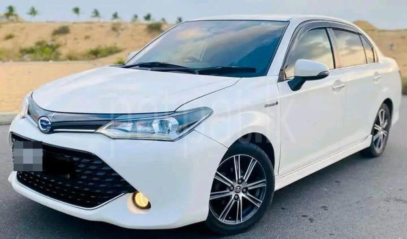 Advertisement image 3