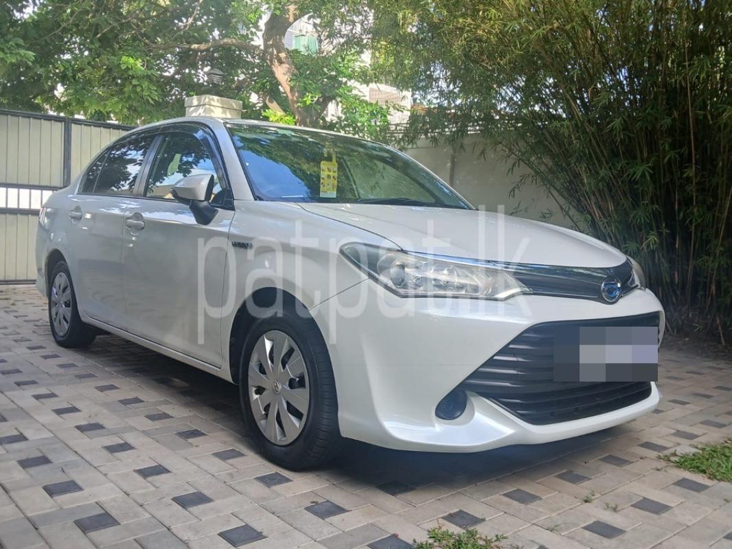 Advertisement image 2