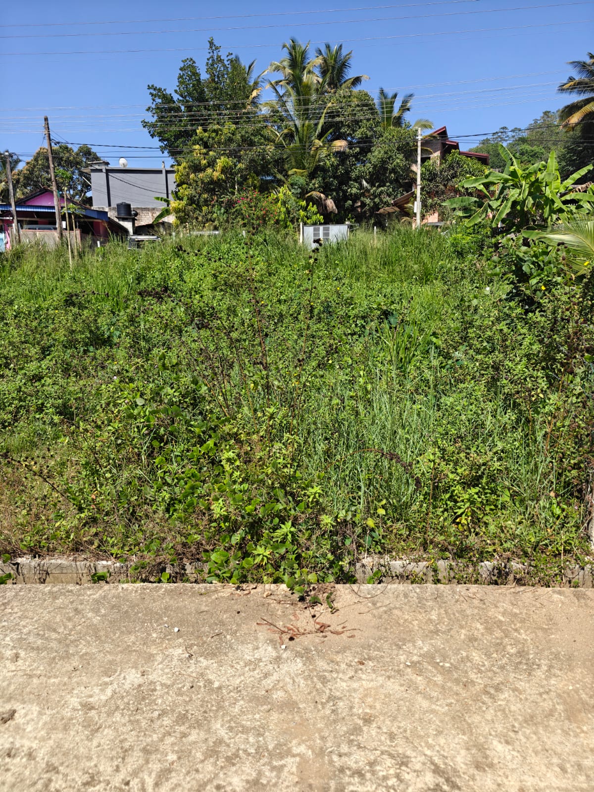 Residential Land for Sale in Mawanella
