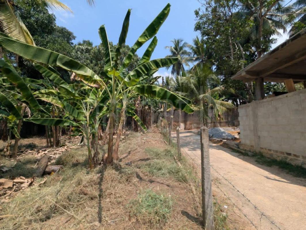 Residential Land for Sale in Yakkala