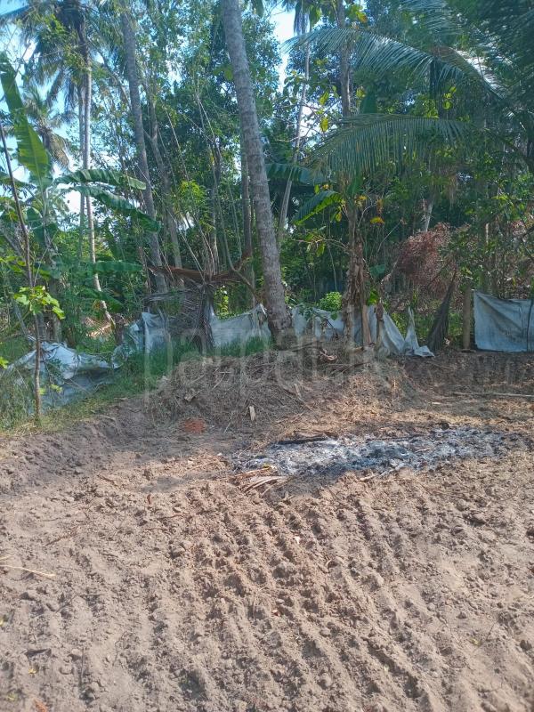 Residential Land for Sale in Nattandiya