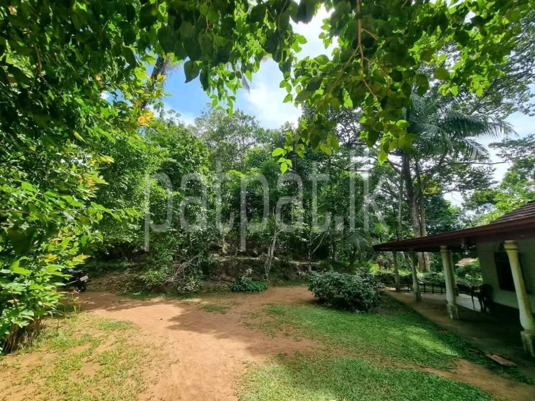 Advertisement image 6