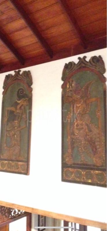 premium-listing-image