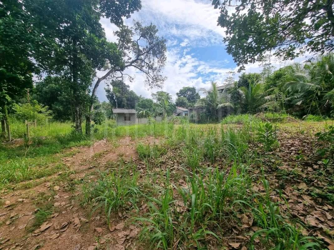 Commercial Land for Sale in Piliyandala