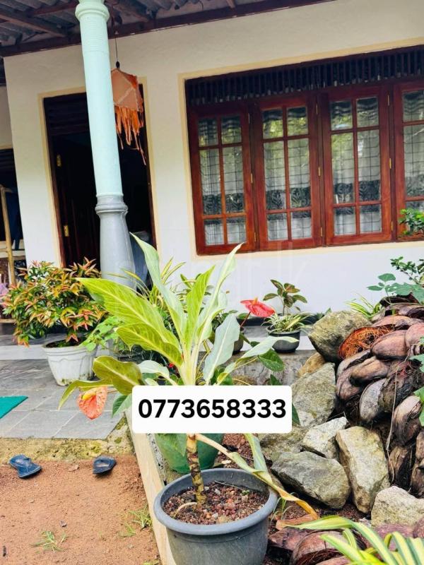 House for Sale in Delgoda