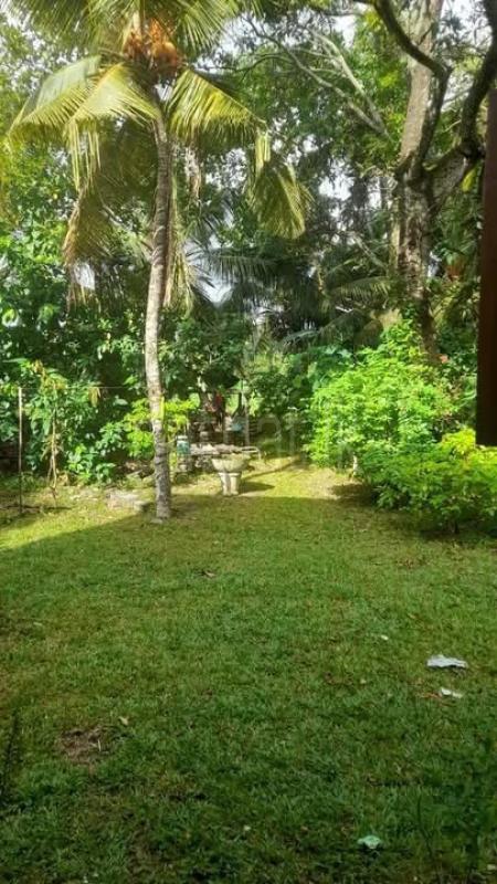 House for Sale in Ratmalana ads-image-1