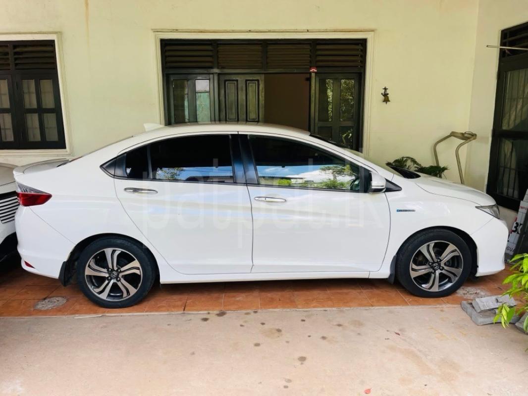 Advertisement image 4