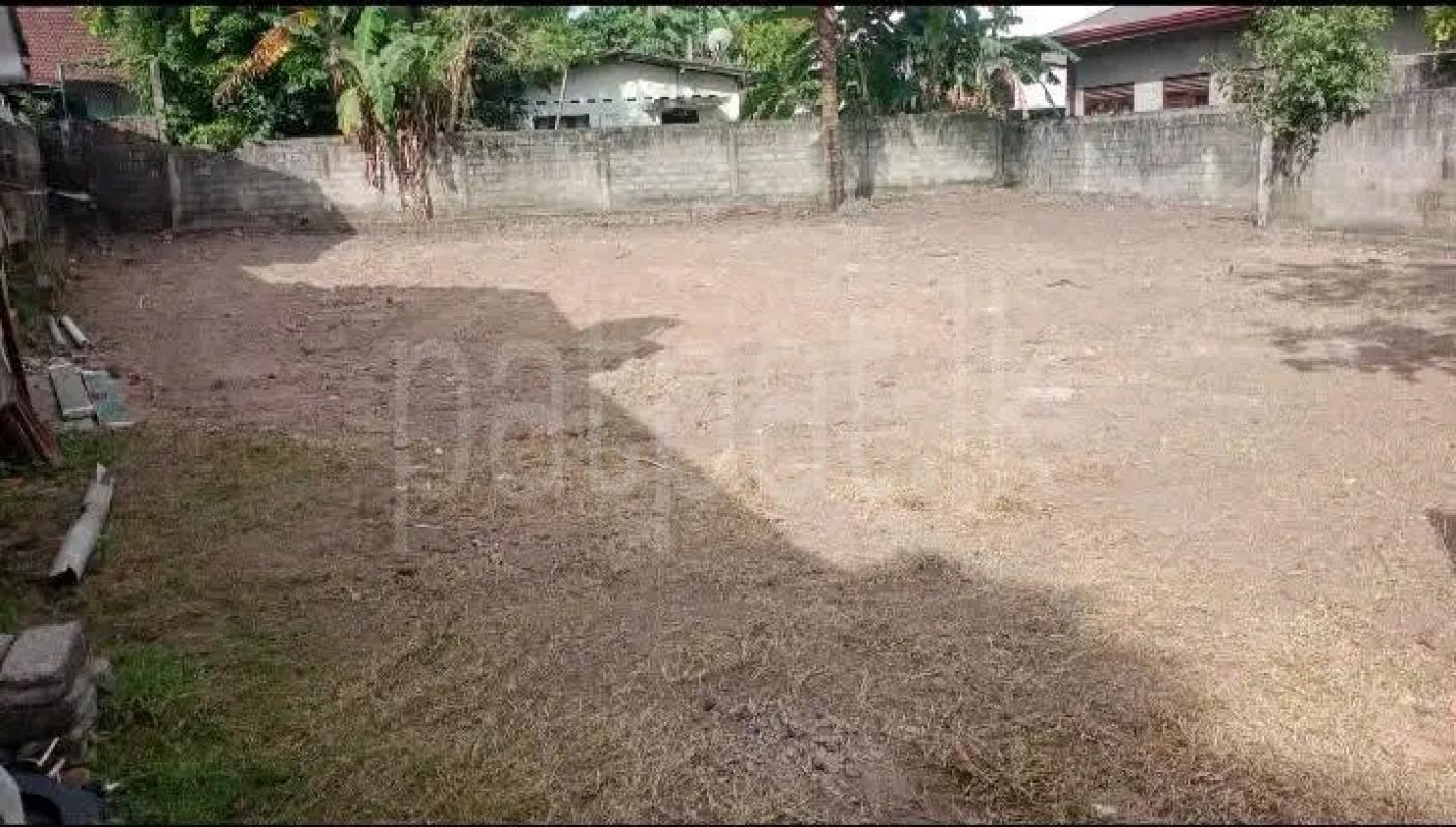 Residential Land for Sale in Pamunugama