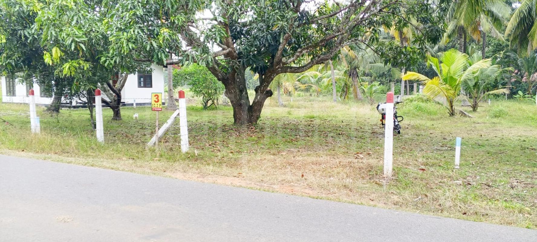 Residential Land for Sale in Wellawa ads-image-1