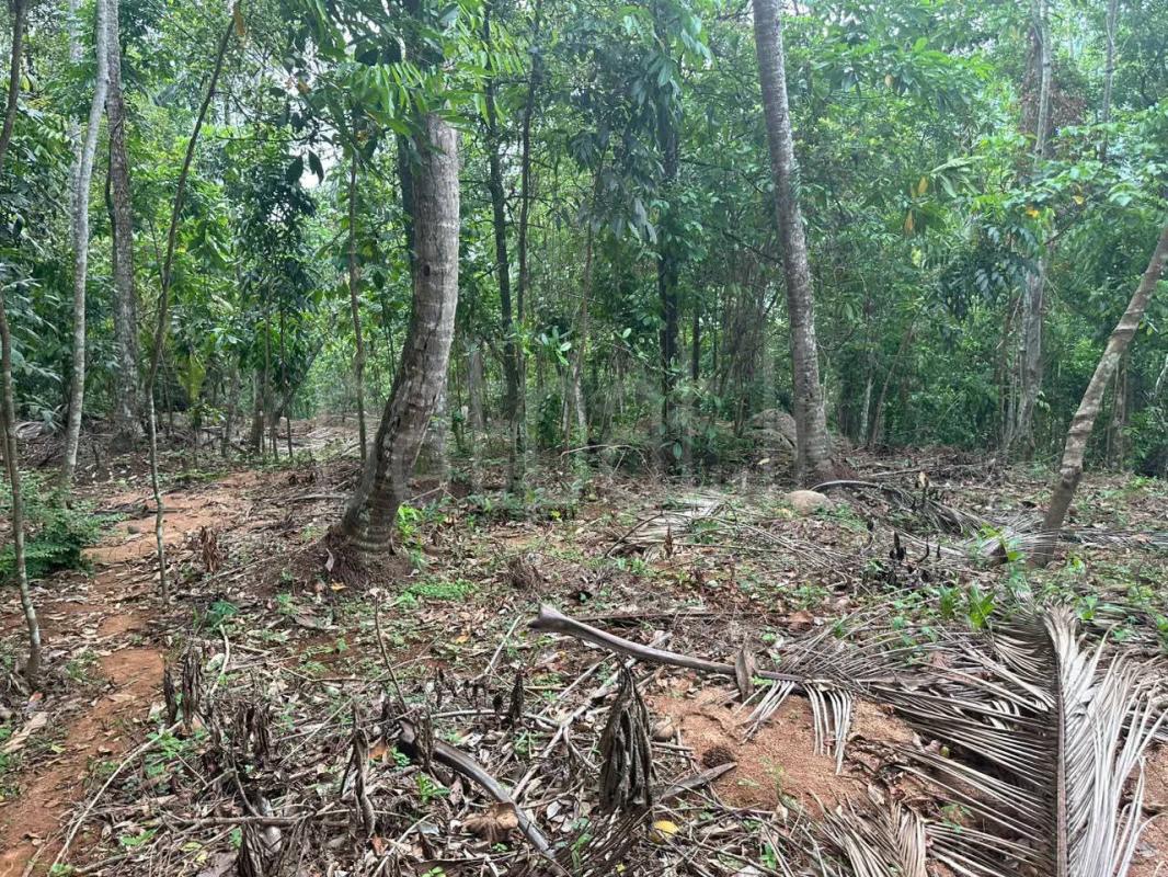 Residential Land for Sale in Kirindiwela