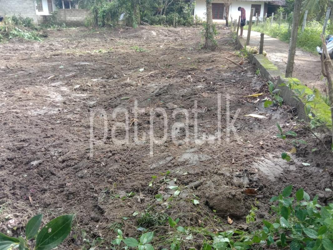 Advertisement image 1