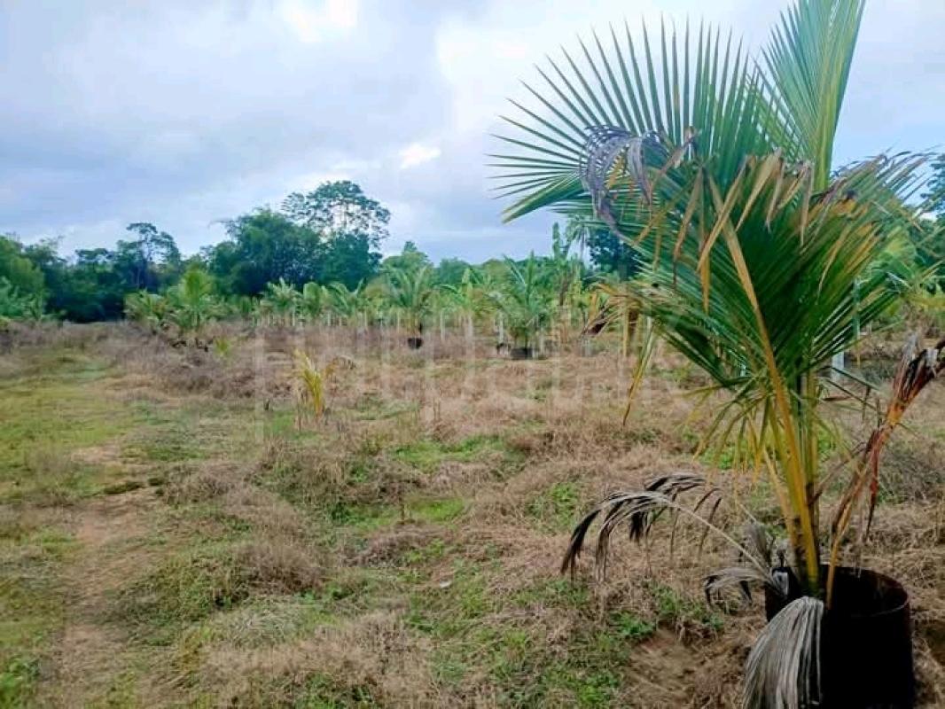 Commercial Land for Sale in Kurunegala