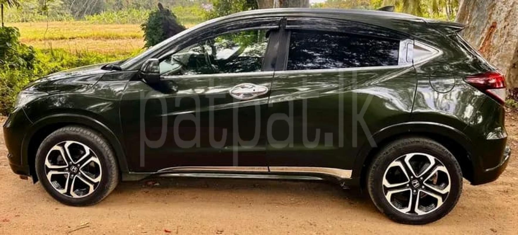 Advertisement image 3