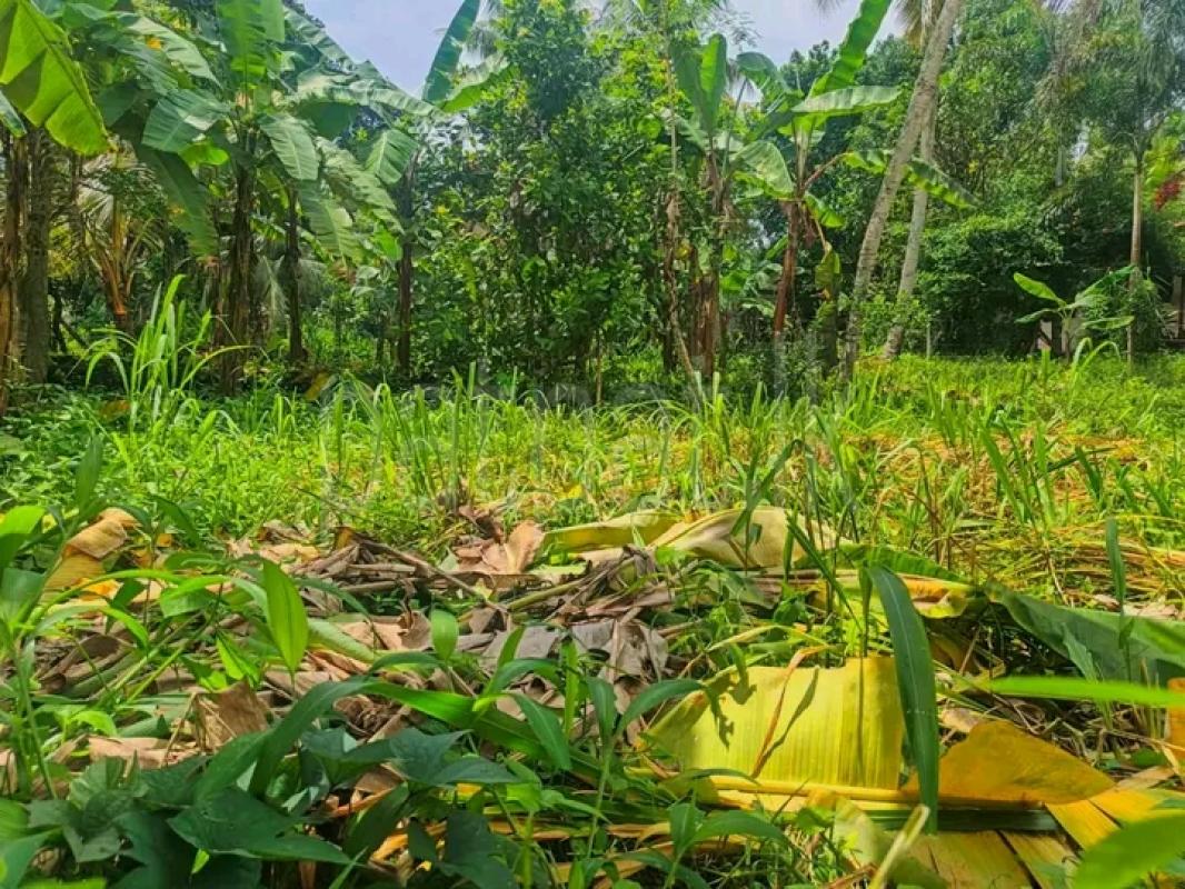 Commercial Land for Sale in Panagoda