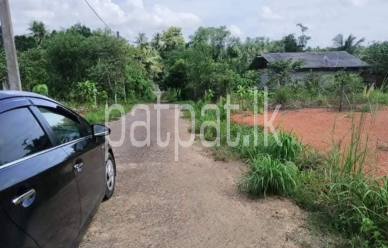 Advertisement image 6