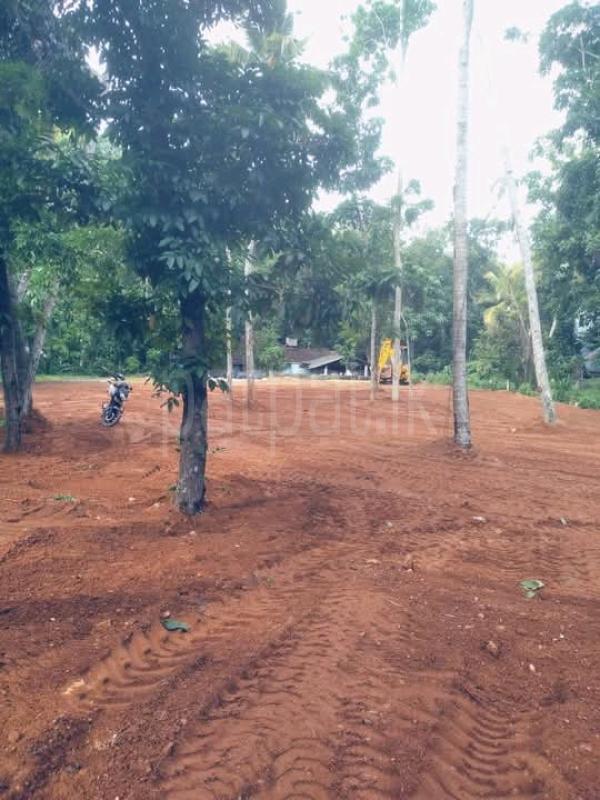 Commercial Land for Sale in Narammala