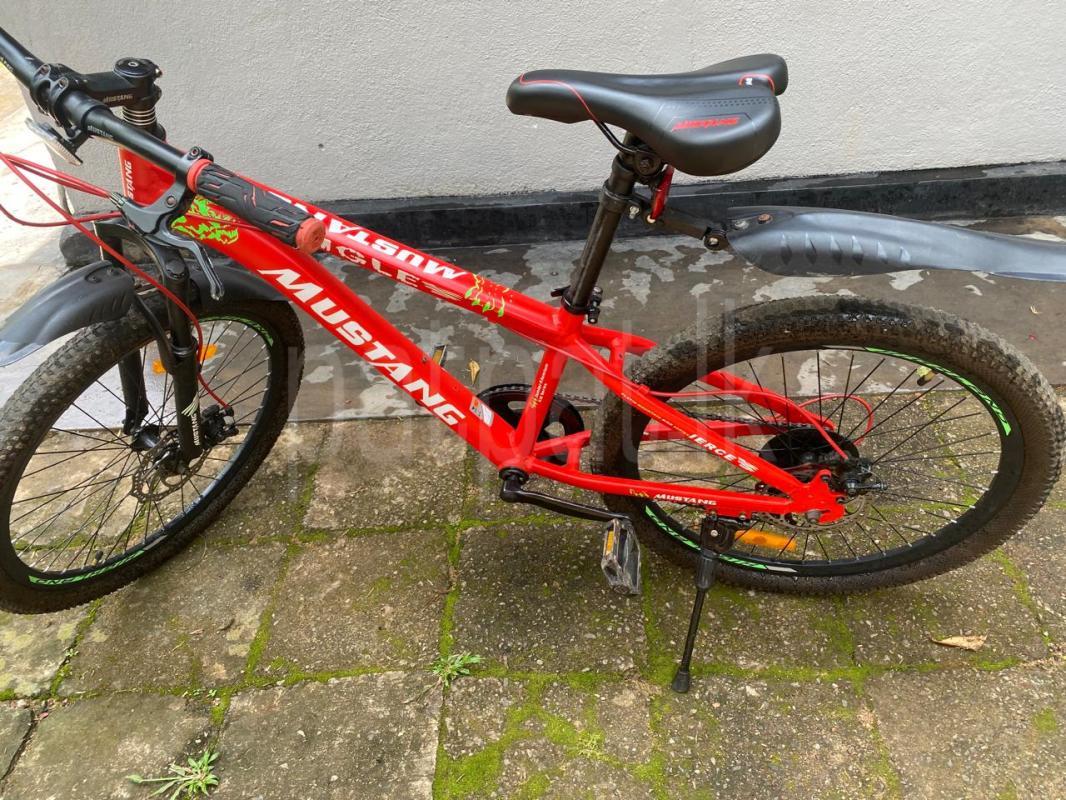 Advertisement image 6