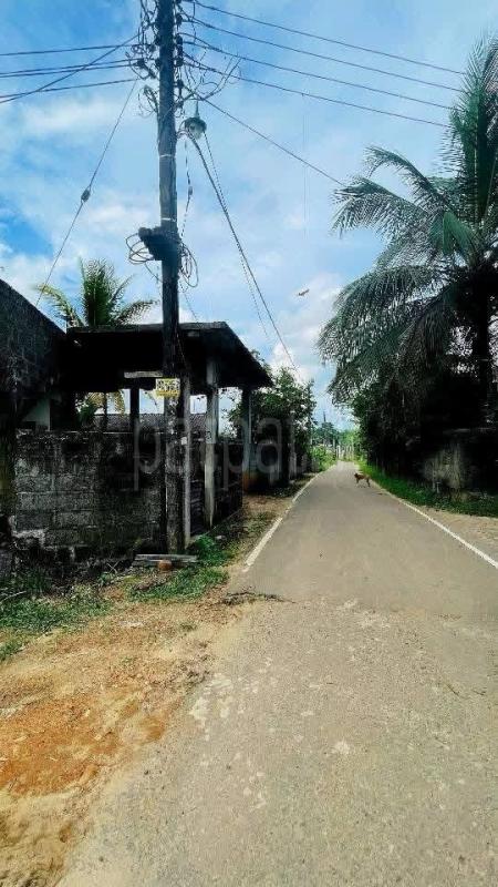 Residential Land for Sale in Meepe