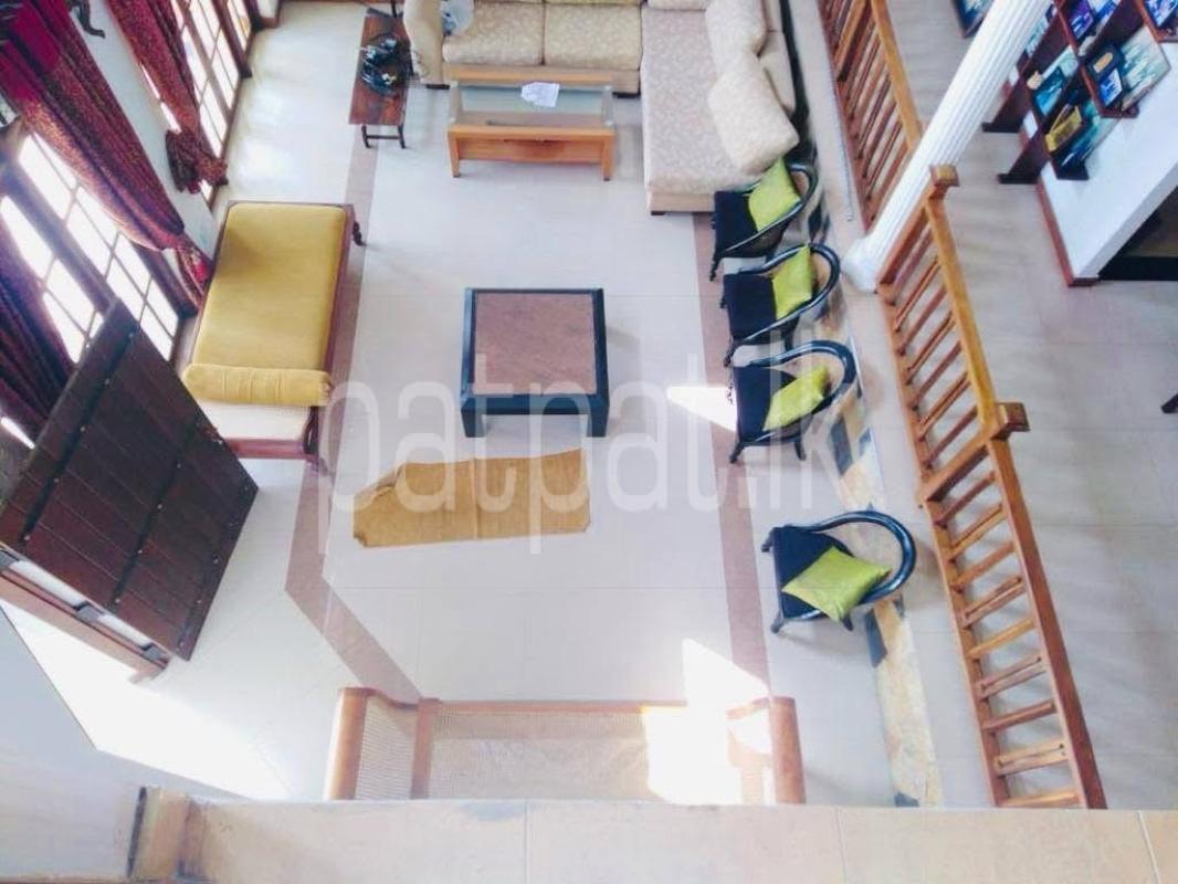 Advertisement image 3