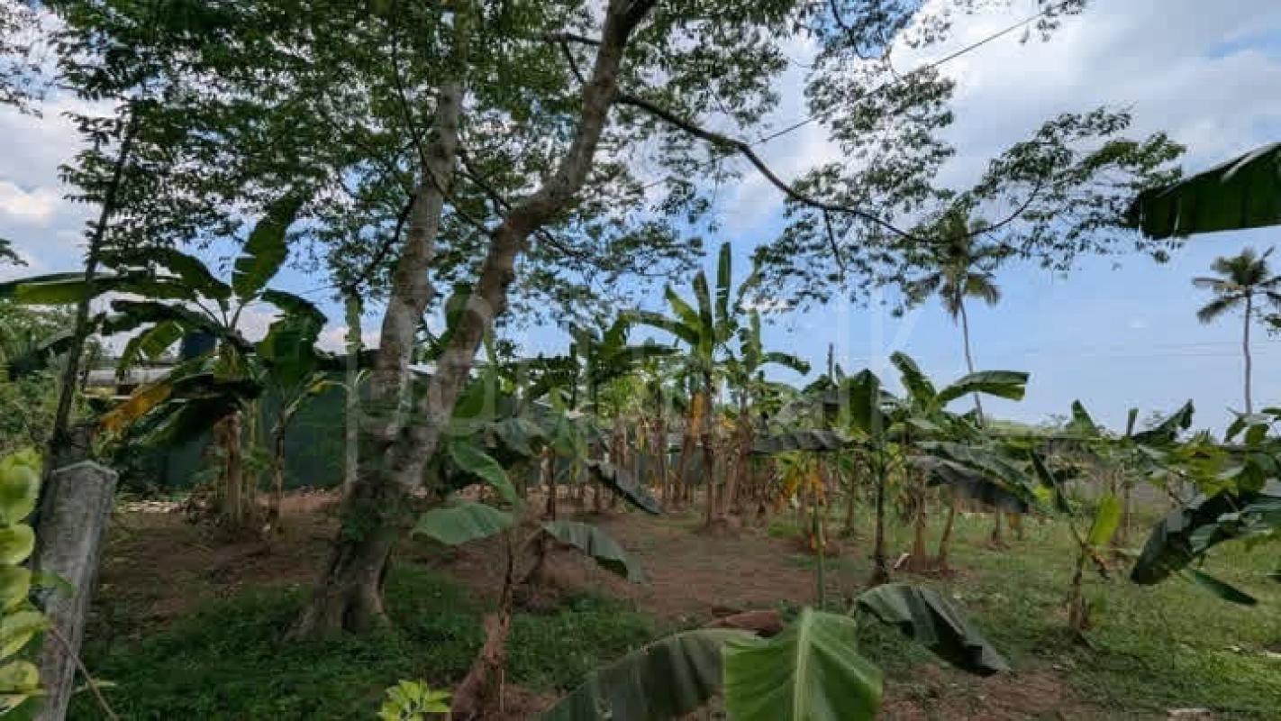 Residential Land for Sale in Gampaha