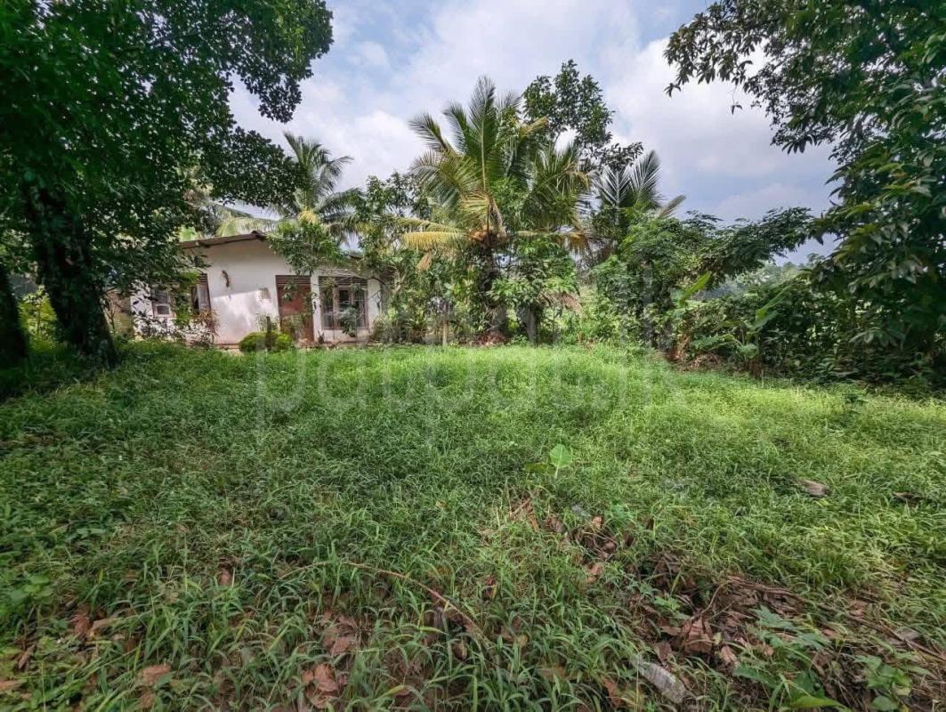 Commercial Land for Sale in Kadawatha