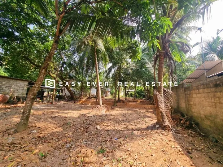 Commercial Land for Sale in Minuwangoda