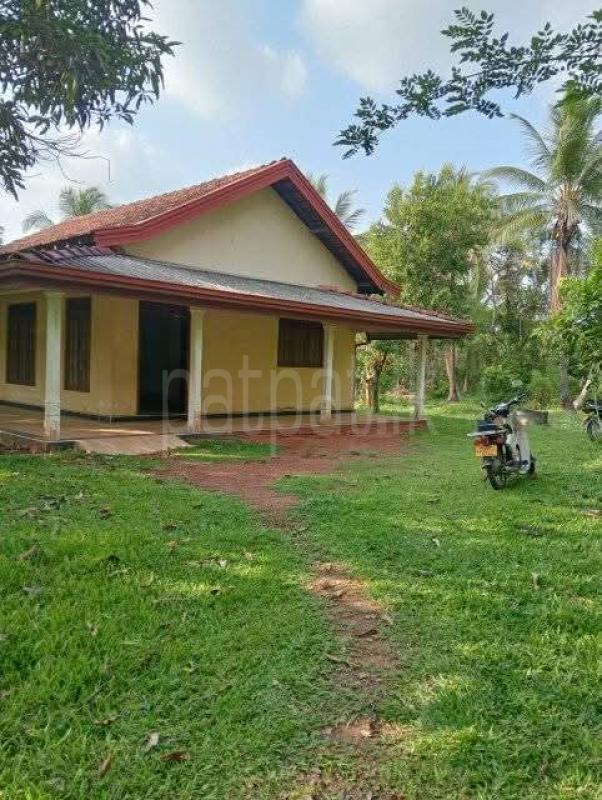 House for Sale in Kotadeniyawa ads-image-1