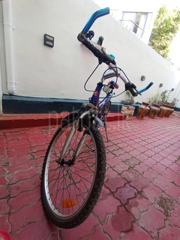 Advertisement image 6