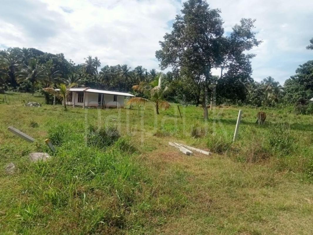 Residential Land for Sale in Kurunegala ads-image-1