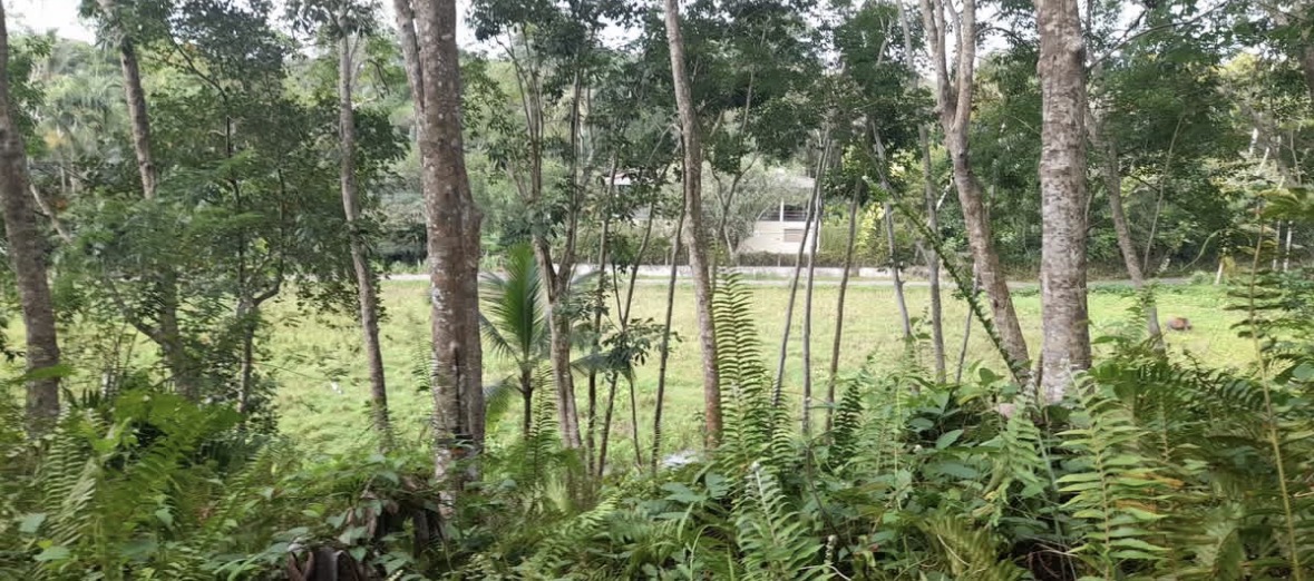 Agricultural Land for Sale in Unawatuna ads-image-1
