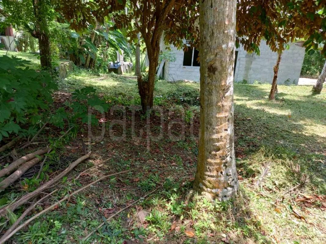 Residential Land for Sale in Panadura