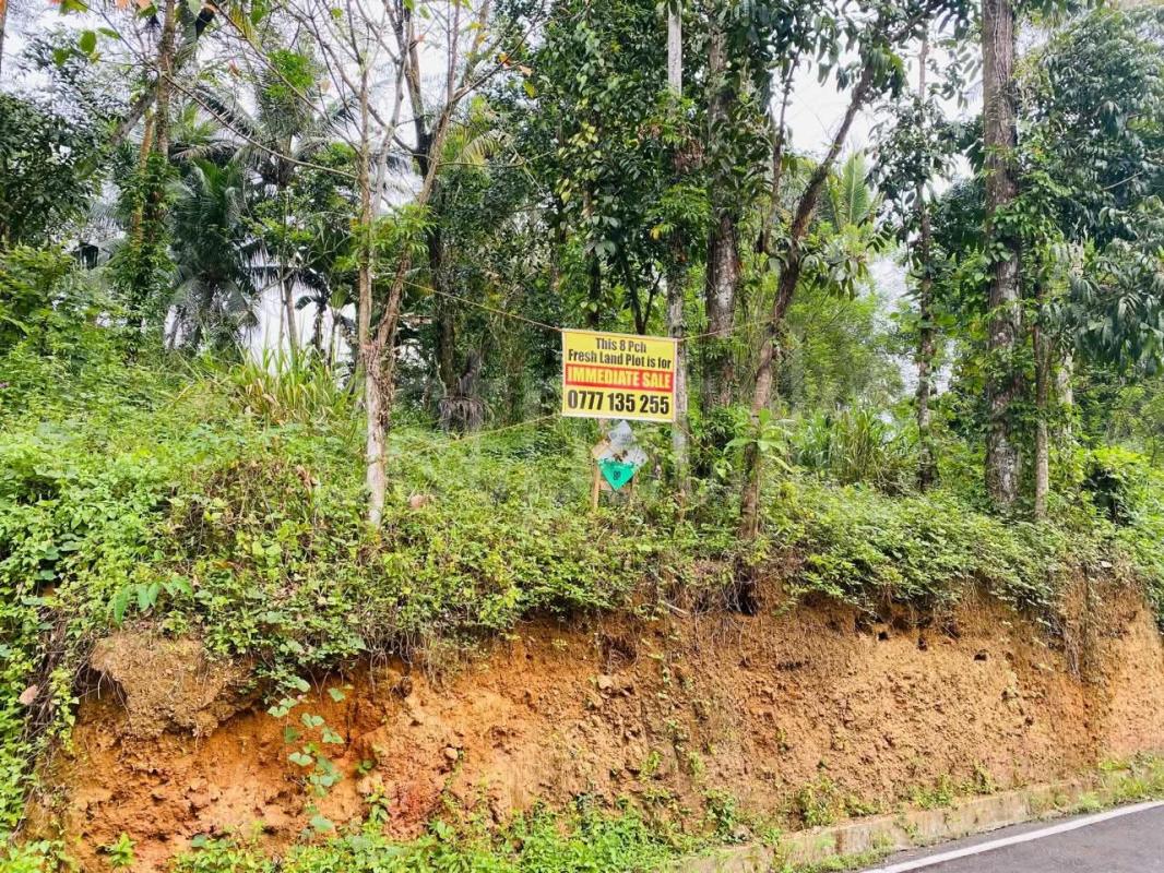 Residential Land for Sale in Homagama ads-image-1