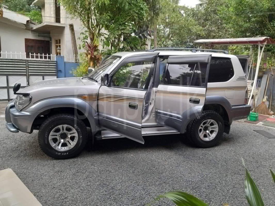 Advertisement image 3