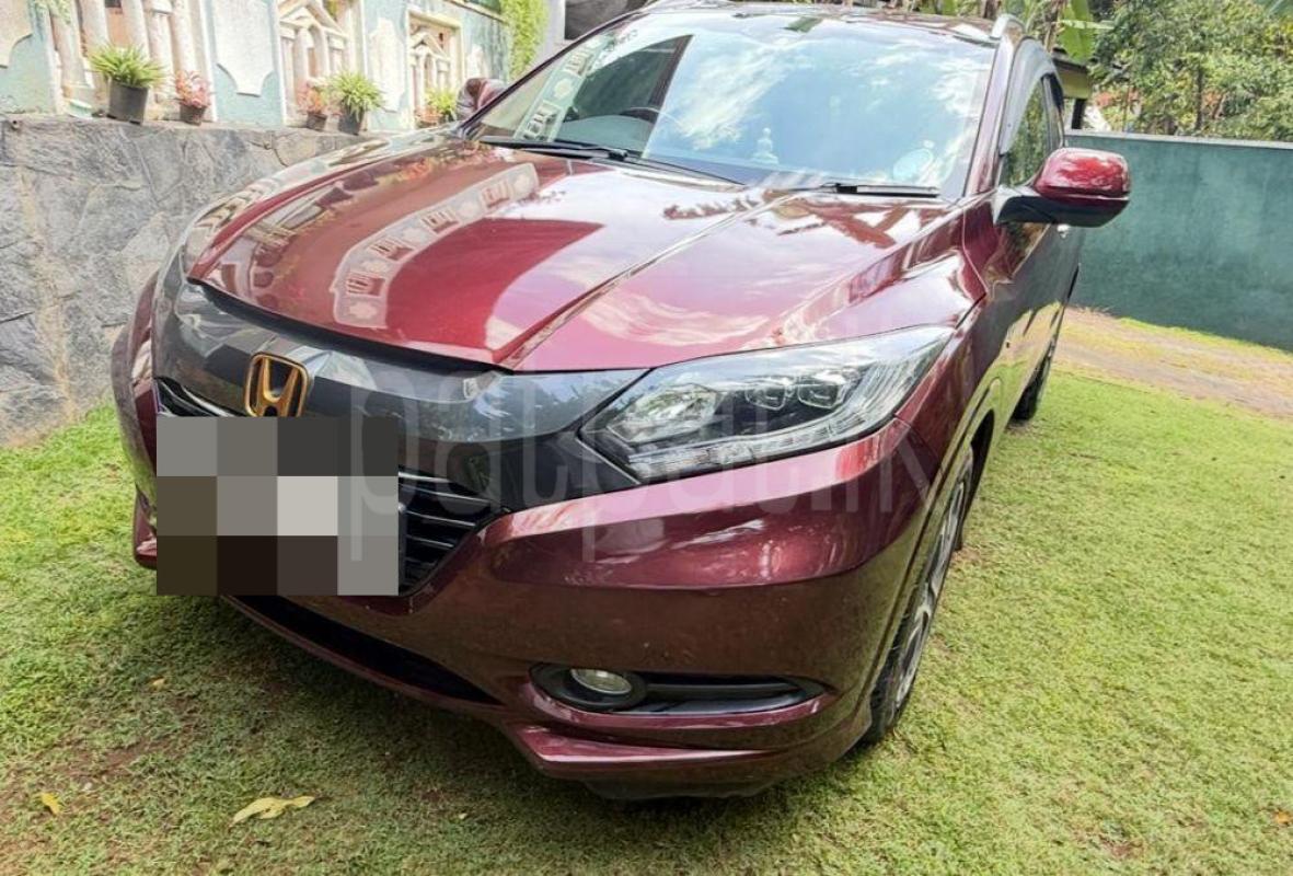 Advertisement image 1